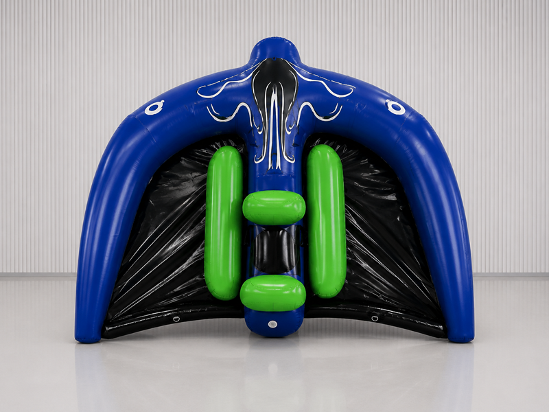 Flying Manta